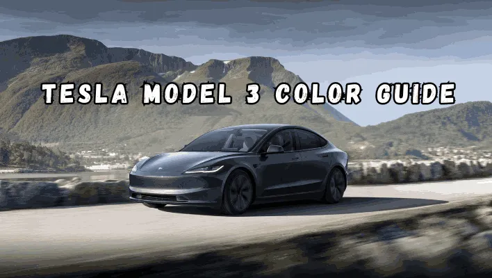 Tesla Model 3 Colors Guide