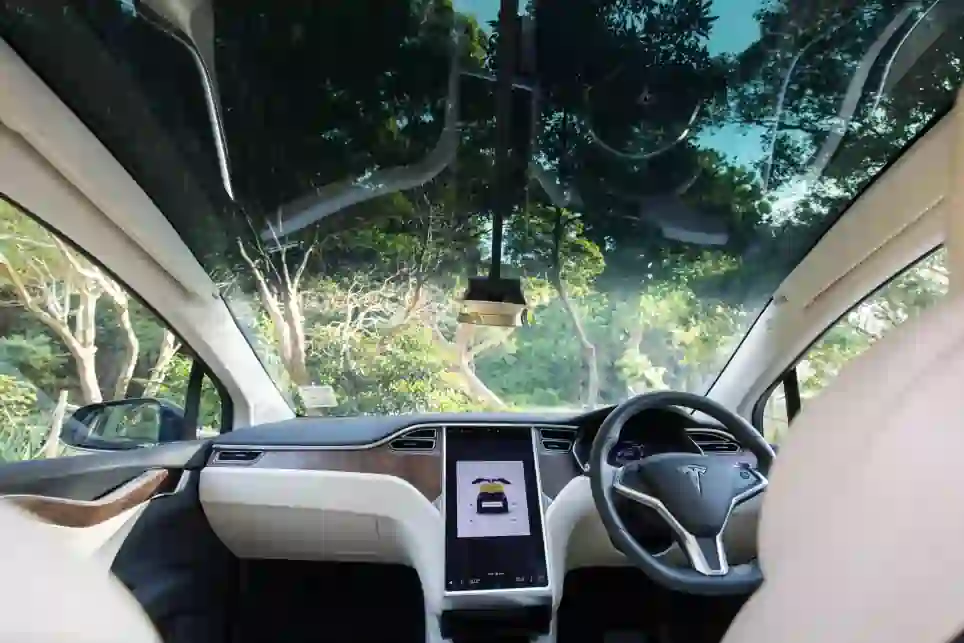 Tesla Model X sunroof