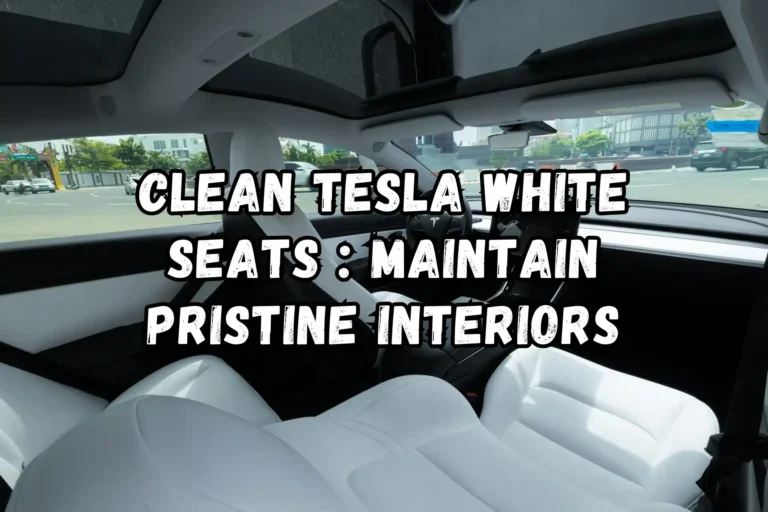 Clean Tesla White Seats